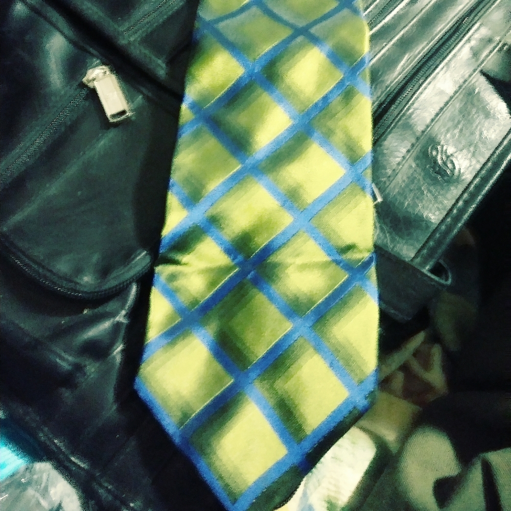 THE DESANTIS COLLECTION SILK TIE.🌴